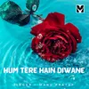 About Hum Tere Hain Diwane Song